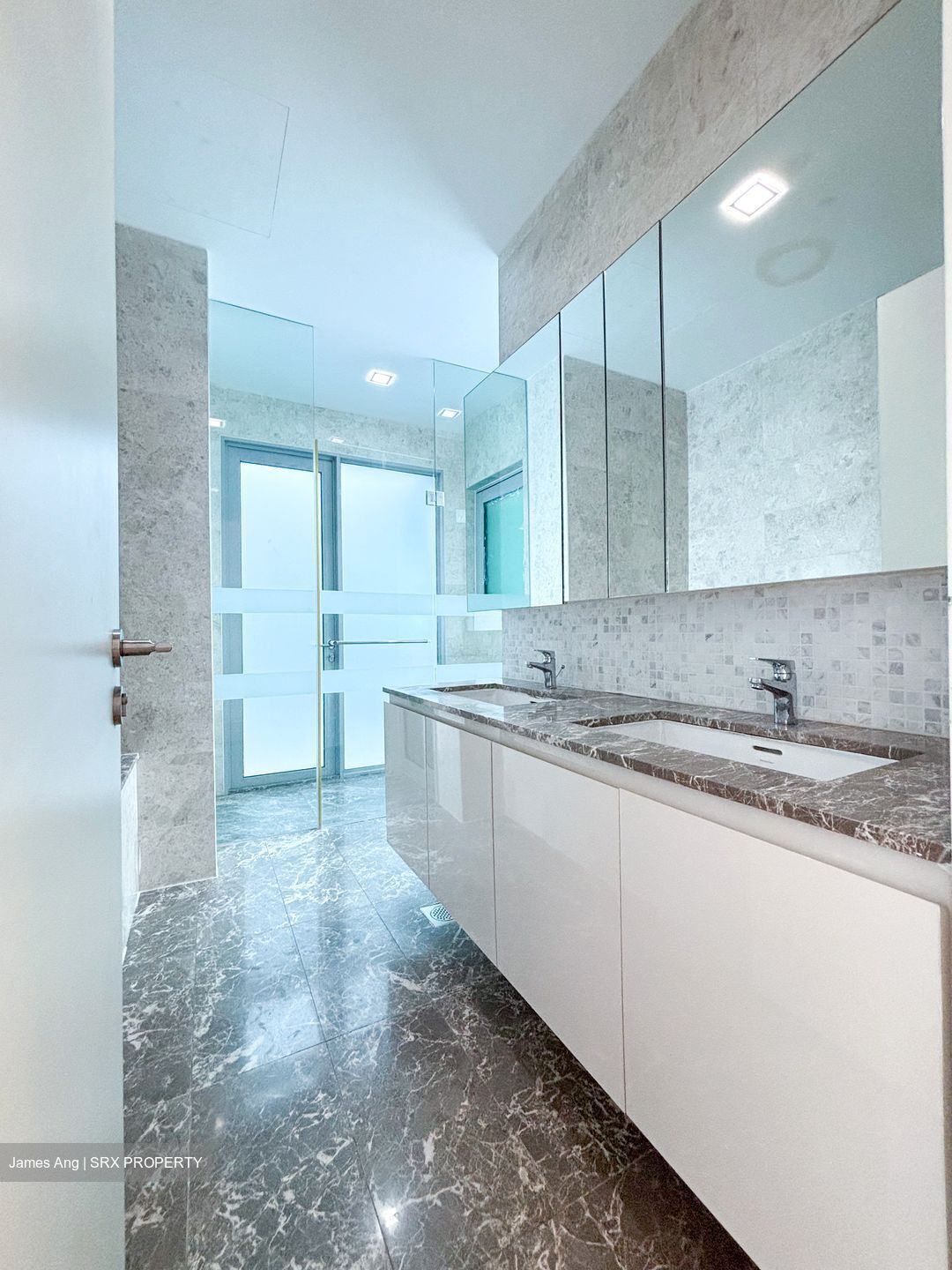 The Minton (D19), Condominium #622252541